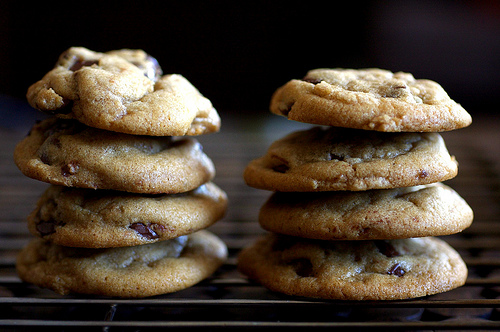 Chocolate Chip Cookie Dough